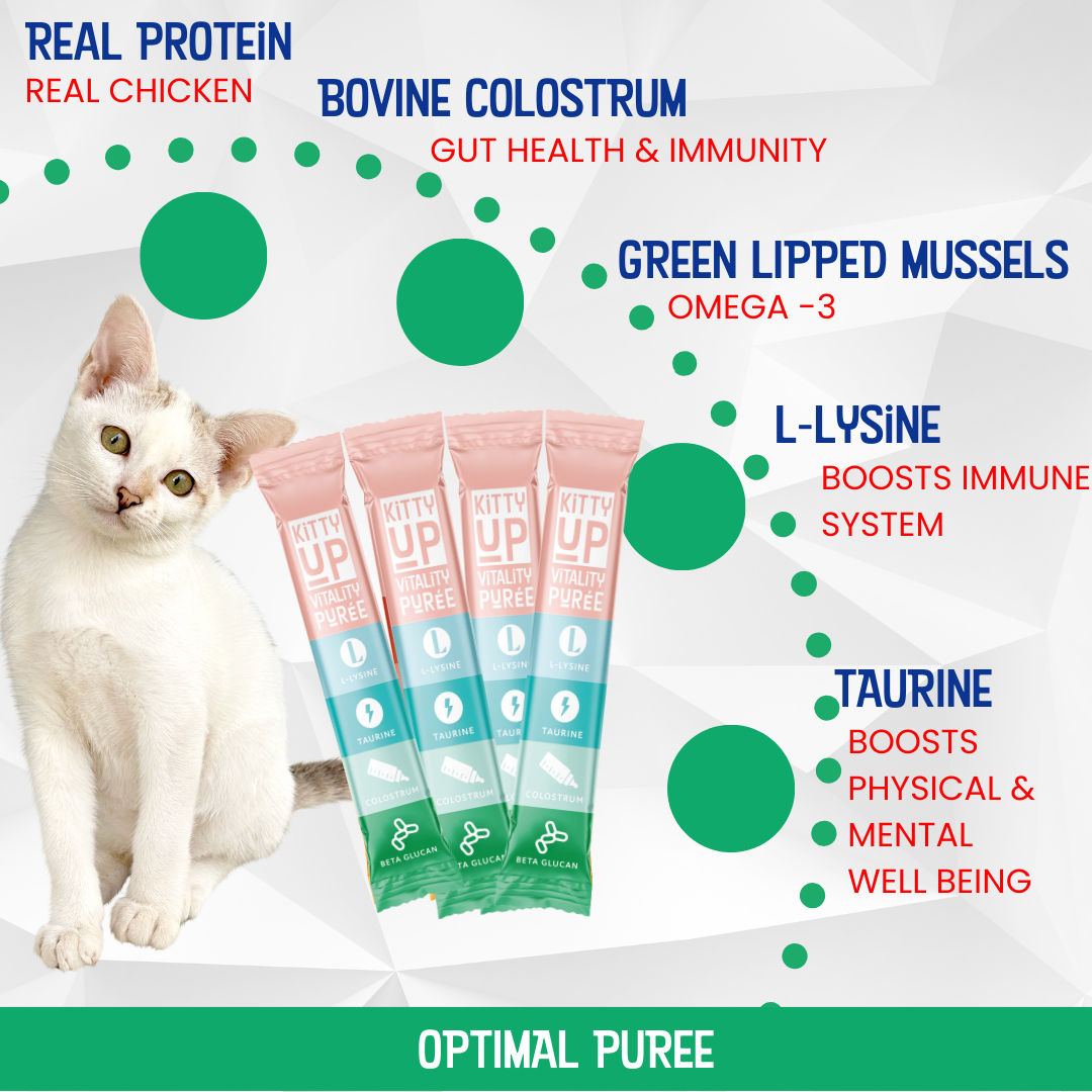 cat multivitamin purée – chicken flavor – vitality - benefits