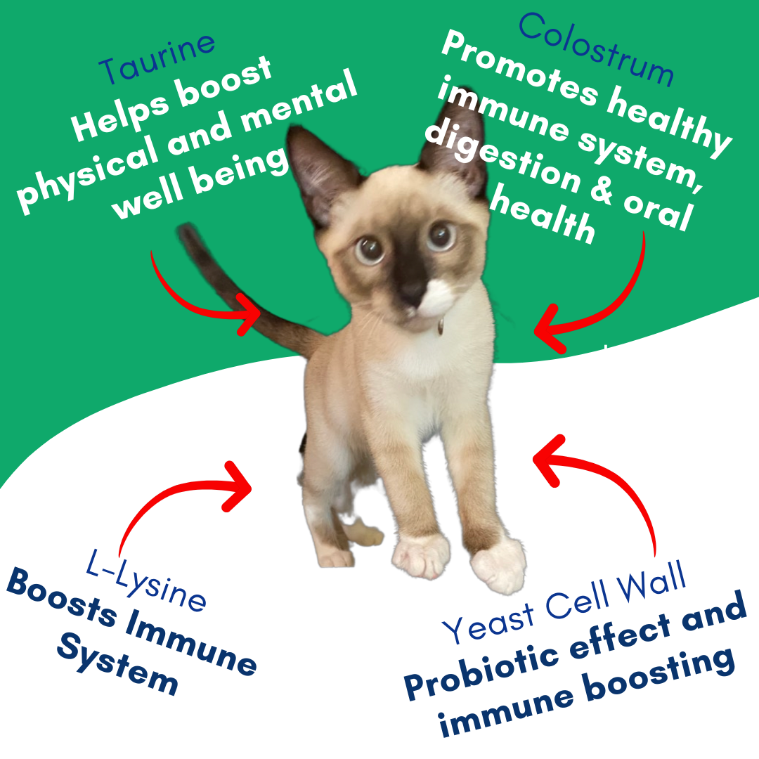 cat multivitamin purée – chicken flavor – vitality - benefits