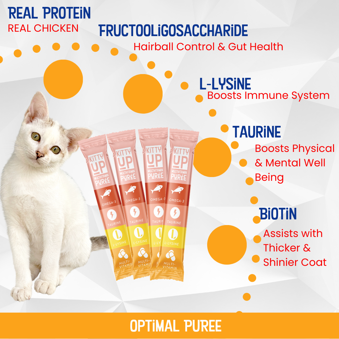 cat multivitamin purée – chicken flavor – benefits