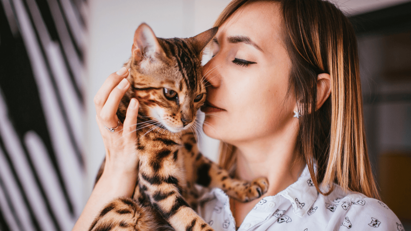 Woman cuddling a Bengal cat, highlighting the emotional bond between cats and their humans.