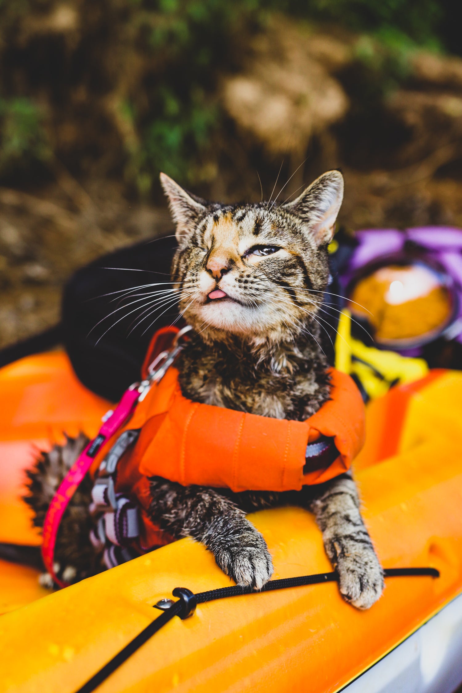 A tabby cat wearing a life jacket and sitting on a orange canoe boat.