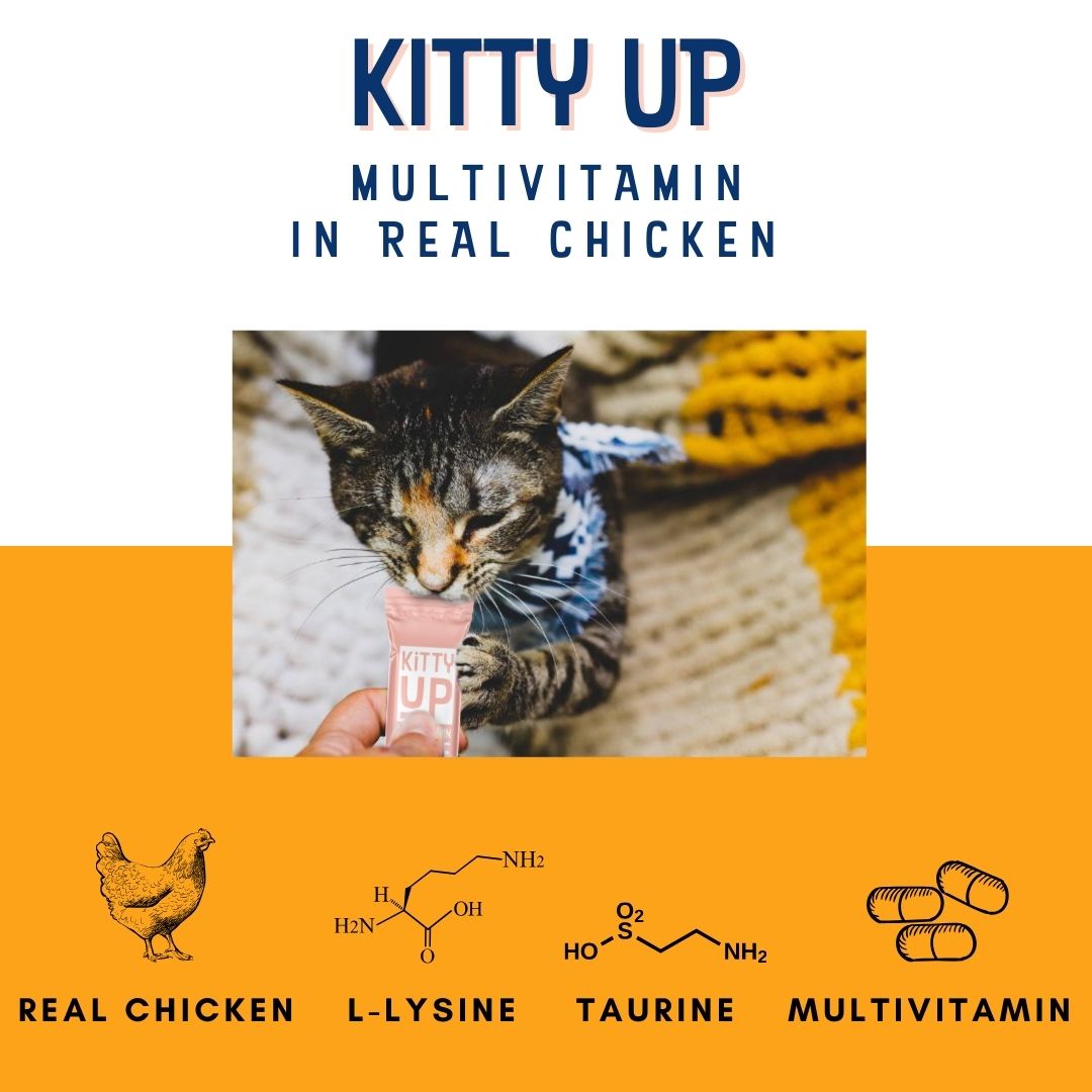 Multivitamin w/ L-Lysine & Taurine in Real Chicken
