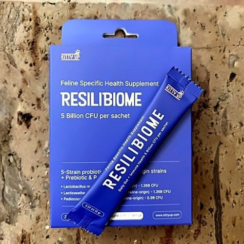 Kitty Up  Resilibiome feline specific health supplement packaging on a textured surface with Resilibiome Sachet on top of the box.
