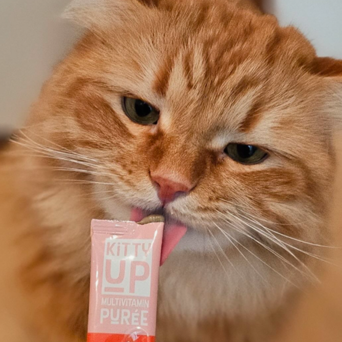 Kitty Up post