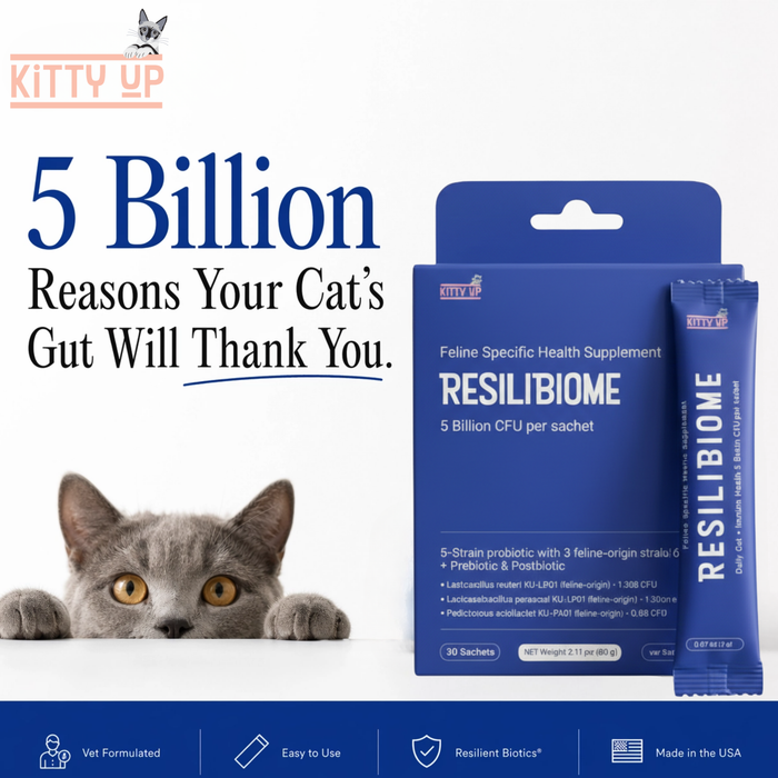 Kitty Up RESILIBIOME feline health supplement packaging with a cat peeking from behind.
