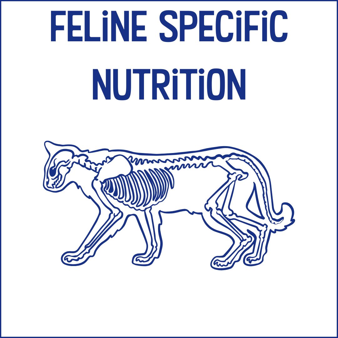 Feline-specific nutrition text with a cat skeleton illustration on a white background
