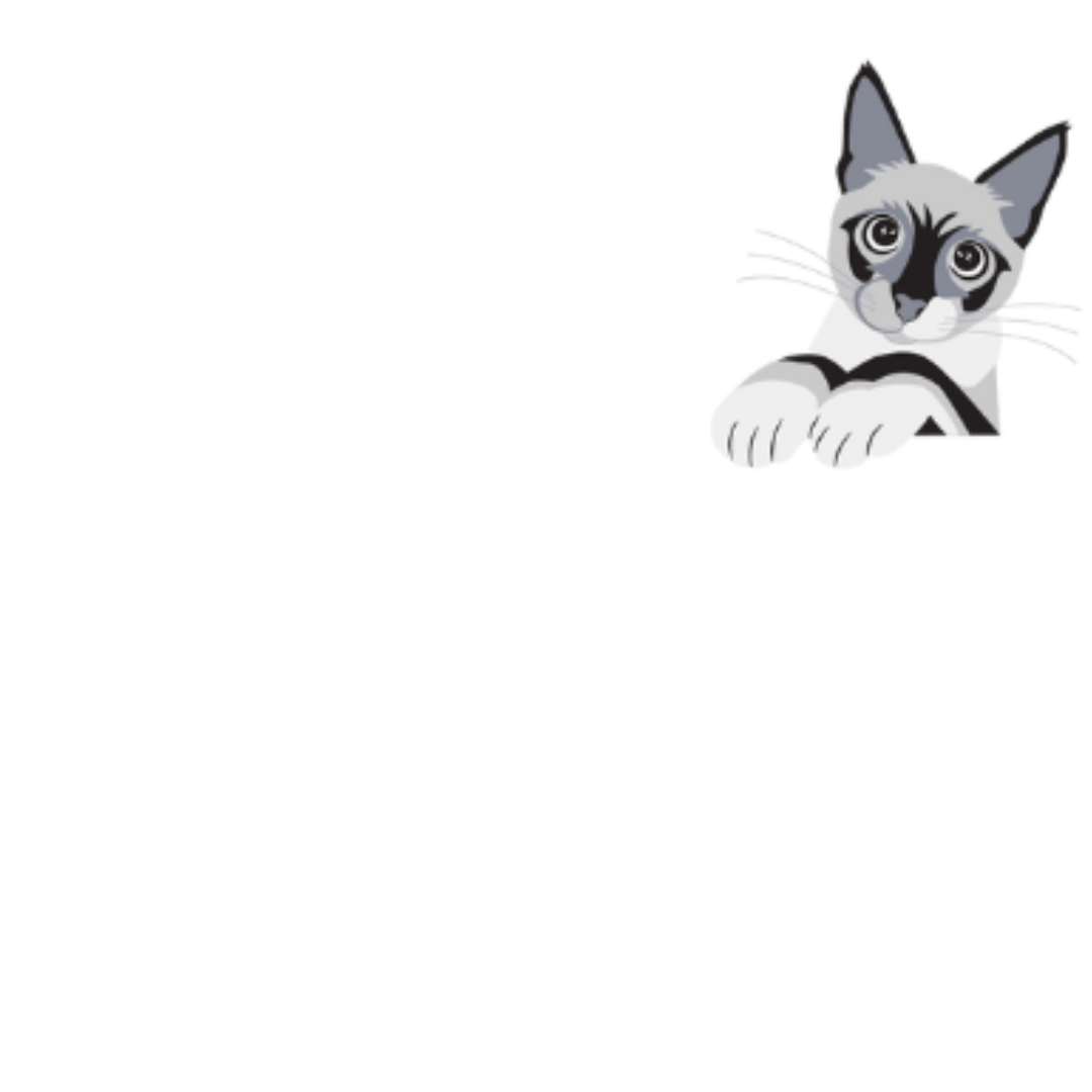 Kitty Up 