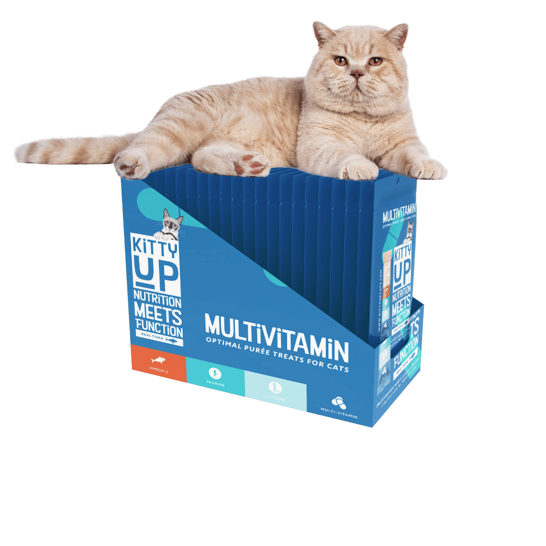Image of Multivitamin Tuna Box with 20 Pouch and a tan cat sitting on top of the box.