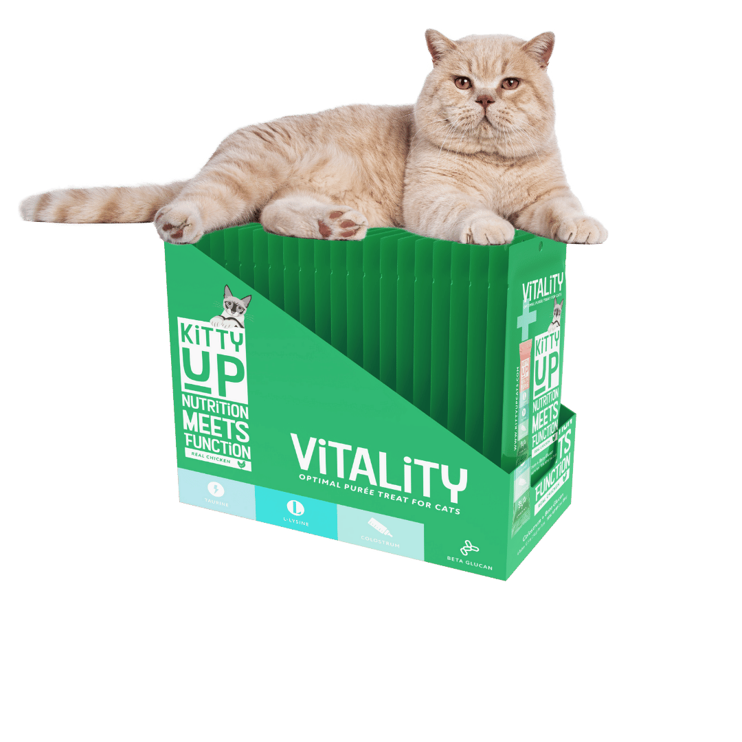 Image of Vitality Box with 20 Pouches and a tan cat sitting on top of the box.
