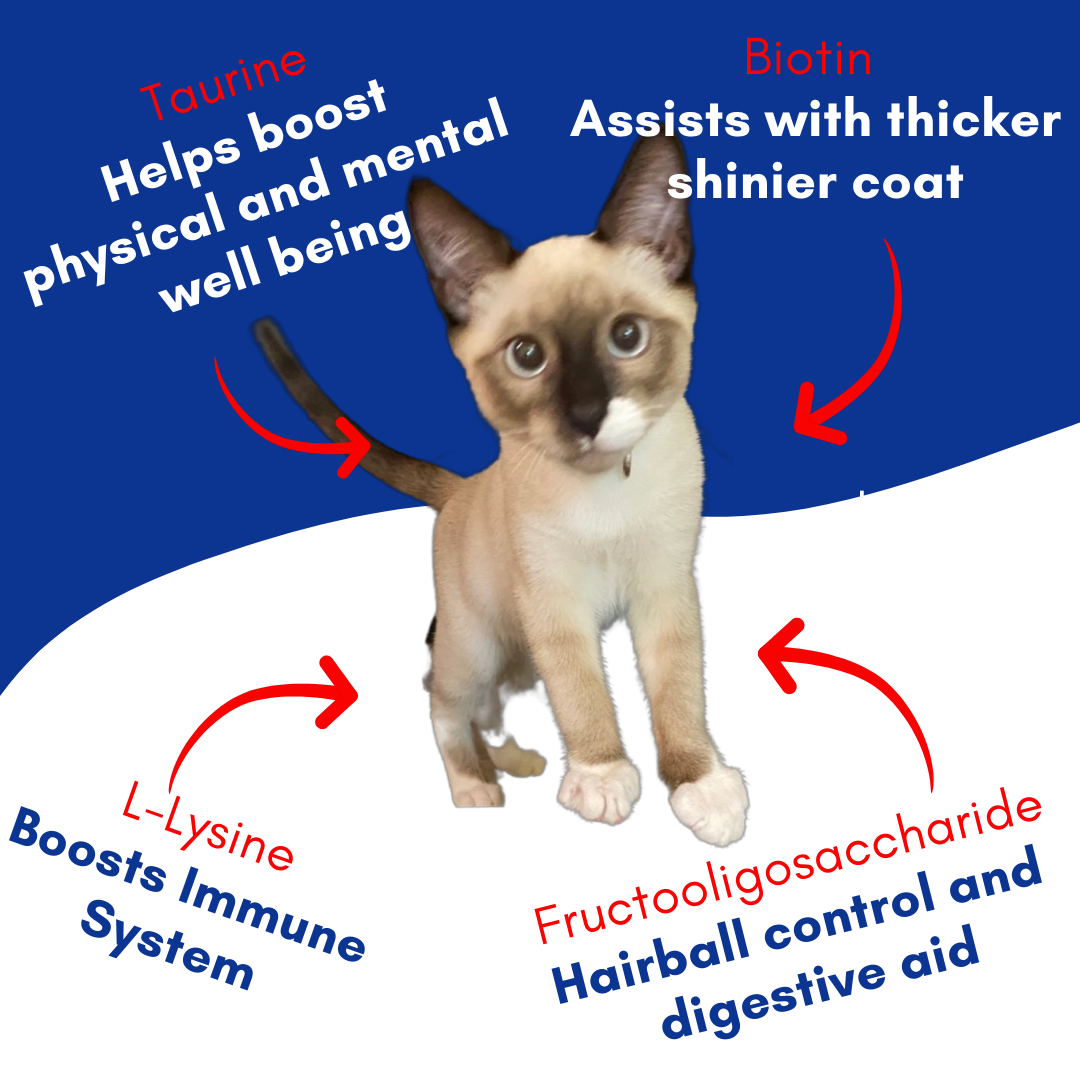 Premium Cat Multivitamin Puree – L-Lysine & Taurine for Immune Health in Real Tuna