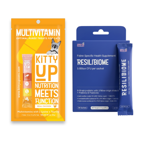 Kitty Up pet supplement bundle featuring an orange Multivitamin pouch and a blue Resilibiome supplement box with two blue sachets, on a white background.