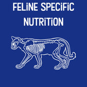 Graphic with the text “Feline Specific Nutrition” above a line-drawn cat skeleton.