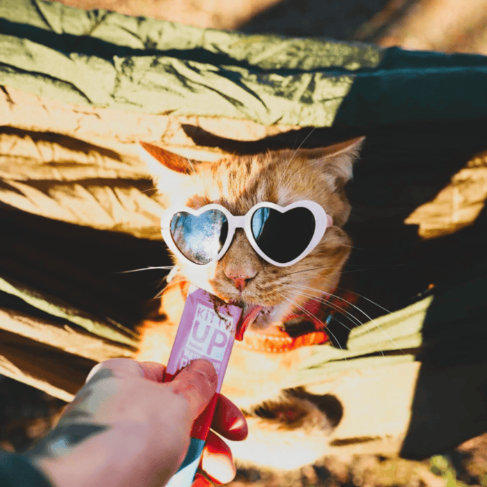 Kitty Up post