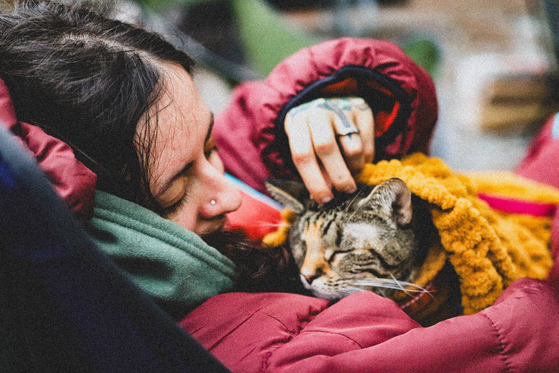 Woman in a red jacket petting a cat wrapped in a yellow blanket