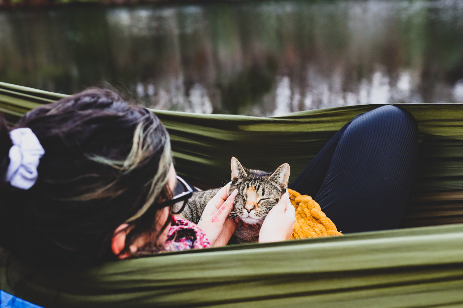 Person lying in a hammock with a cat on their lap, surrounded by nature.