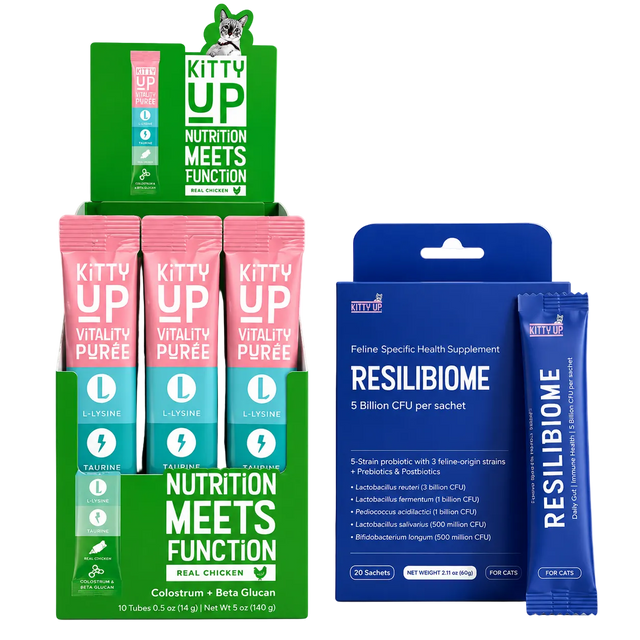 Kitty Up pet supplement packaging on a white background, showing a green and pink display stand with colorful sachets and a blue Resilibiome Feline Specific Health Supplement packet.