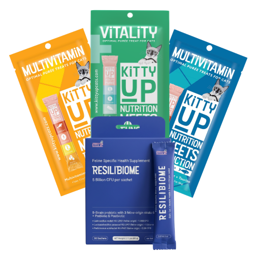 A set of cat supplement products from Vitality, including three colorful pouches (orange, green, and blue) and a blue resealable box with two blue sachets, all labeled for kitty up nutrition and multivitamin.