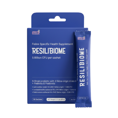 A blue retail box and single stick packet of KITTY UP ResiliBiome Feline Specific Health Supplement on a plain white background.