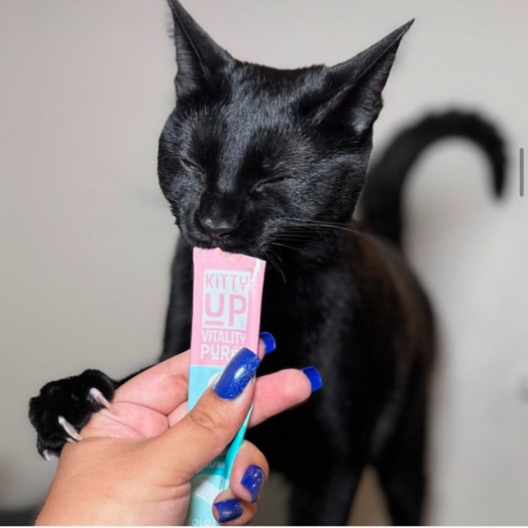 A black cat with his one paw on his human's hand and eating Kitty Up's Vitality.