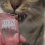 Video of a tabby cat licking Kitty Up multivitamin puree 